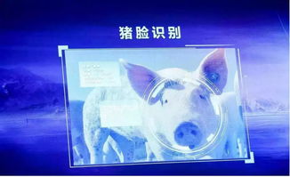 跨界風云 馬云、劉強東為何在豬價暴漲之際“卷”入養豬大業？